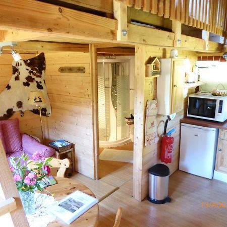 Chalet Fleur des Neiges Saint-Jean-dʼAulps Extérieur photo