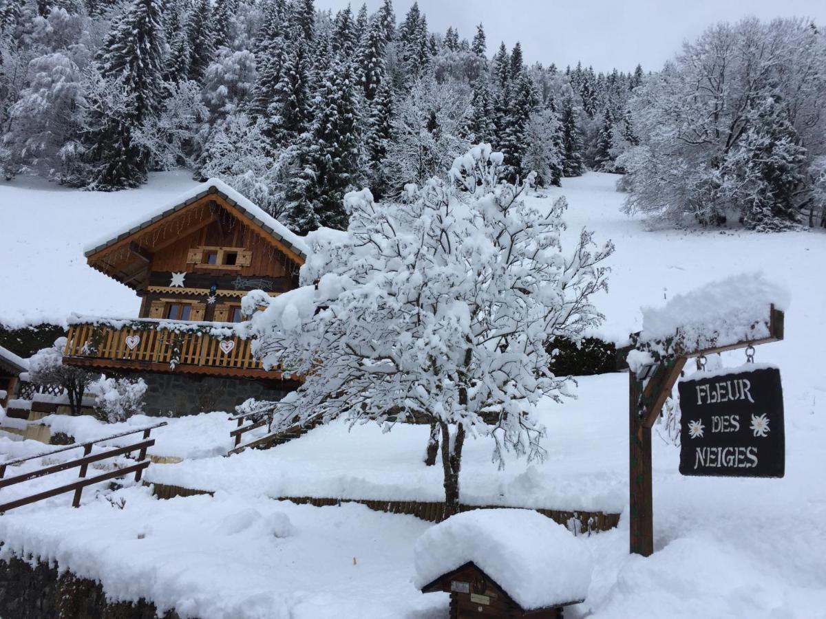 Chalet Fleur des Neiges Saint-Jean-dʼAulps Extérieur photo