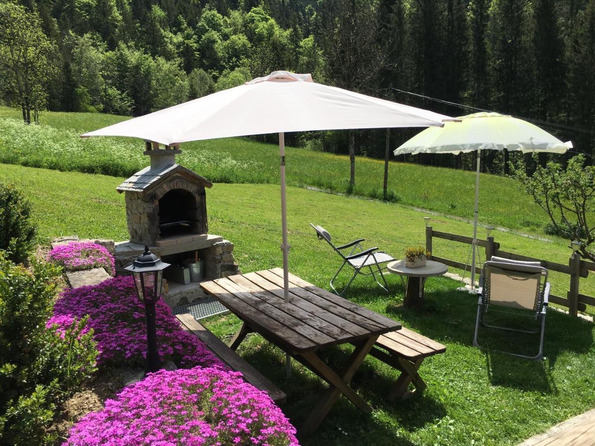 Chalet Fleur des Neiges Saint-Jean-dʼAulps Extérieur photo